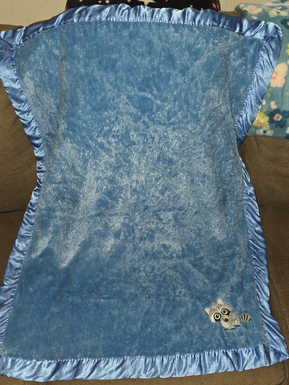 Bass Pro Shops Blue Plush Satin Trim Baby Blanket with Raccoon Applique